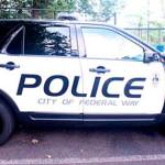 Unknown person fires four gun shots at work truck | Police blotter