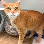 My name is George, and I need a home