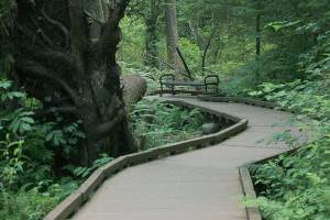 Grant will help city of Federal Way promote trails, walking