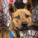 My name is Mark, and I need a home