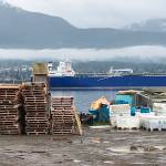 New bill could put Washington salmon farms in jeopardy