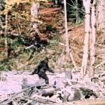 Bigfoot eludes state recognition yet again