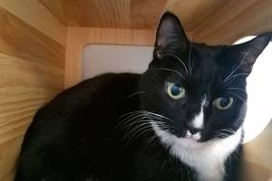 My name is Jack, and I need a home