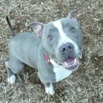 My name is Baby, and I need a home