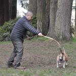 Efforts to halt city utility tax progressing