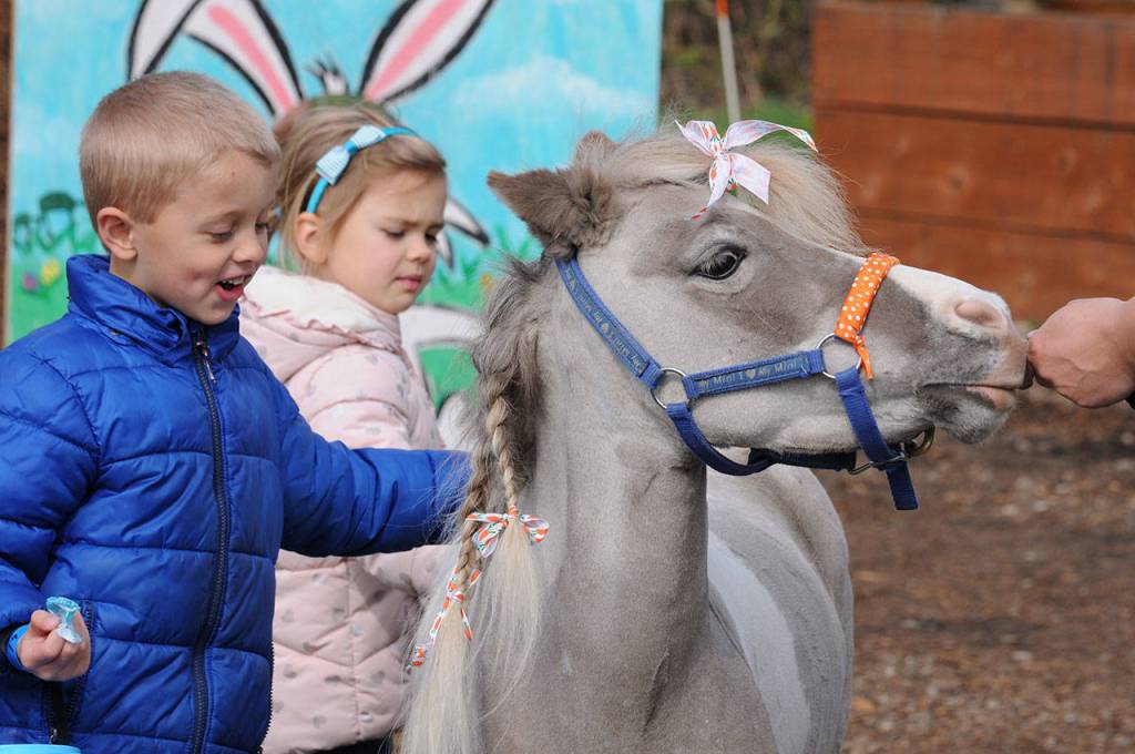 Children hunt for 6,000 eggs at Light of Christ Community Garden