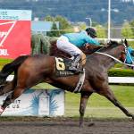 Emerald Downs 2018 calendar at a glance