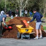 Volunteers beautify Celebration Park