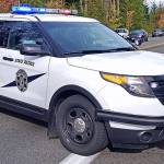 Multiple organizations partner with WSP to bring resources to Federal Way rest area