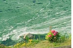 Residents win right to clean Lake Jeane