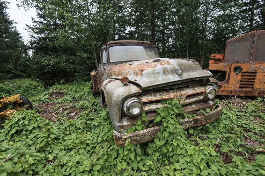 A rusting vintage truck finds its bed amongst the overgrowth at Pillons property. Photo by Caean Couto