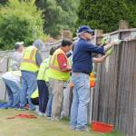 More than 50 people spent time last Saturday helping to paint the fence along Southwest 320th Street. Courtesy Shelley Pauls
