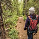 Groundbreaking ceremony for new Panther Lake Trail set for June 21