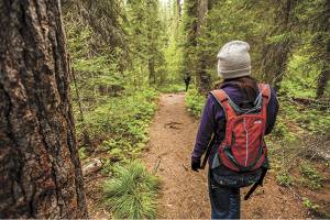 Groundbreaking ceremony for new Panther Lake Trail set for June 21