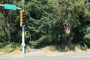 Chinese boarding school coming to Federal Way?