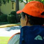 Why did the geese cross the road?