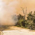 How wildfire smoke affects your health | Public Health – Seattle & King County