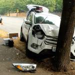 Vehicle crashes into tree on S. 320th St. after swerving to avoid collision