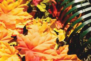 Rake away potential street flooding in Federal Way