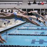 Swimmers from Decatur, Todd Beamer, Thomas Jefferson and Federal Way launch off the blocks for the 50 free. Olivia Sullivan/staff photo