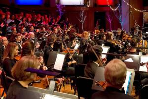 Northwest Symphony Orchestra family concert includes instrument zoo for kids