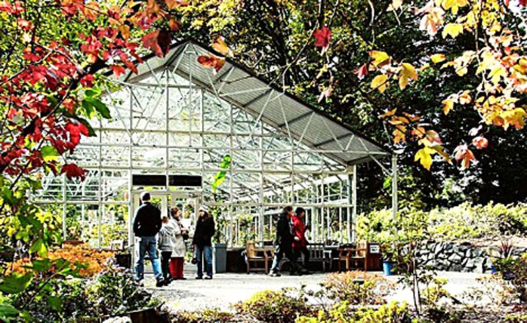 The Rhododendron Species Botanical Garden is teaming up with Pacific Bonsai Museum will host the Fall Foliage Festival and plant sale from Oct. 20-27. Photo courtesy of the Rhododendron Species Botanical Garden
