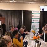 Domestic Violence: You can break the cycle