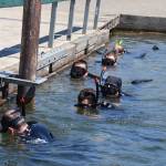 Firefighters from SKFR train for the rescue swimmers team at local lakes, such as Steel Lake in Federal Way. Courtesy photo