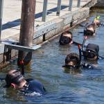 Woman drives car into Puget Sound at Redondo Beach