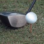 High school golf season will continue with the West Central District and the WIAA State Championship tournaments in spring.