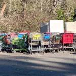 Federal Way to regulate shopping carts, curb blight with new ordinance