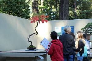 Set 2019 in motion with these outdoor destinations