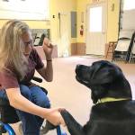 Cassidy Huff, age 16, has a rare genetic condition that has resulted in her having 40-plus surgeries in her young life. With the help of a service dog, she will be more independent. The public is invited to a fundraising event on Jan. 12 at the Performing Arts and Event Center. File photo