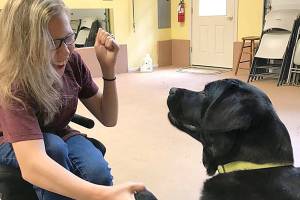 Federal Way Community Calendar: Project Cassidy, Korean-American Day