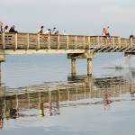 Matt Stauffer prepares to jump off of the Dash Point pier. Olivia Sullivan/staff photo