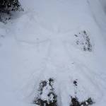 A snow angel. Photo courtesy of Franci Gerola