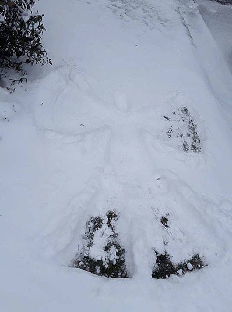 A snow angel. Photo courtesy of Franci Gerola
