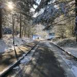 Sunlight streaming through snow-covered Evergreens is a special Washington type of beauty. Photo courtesy of Bruce Honda