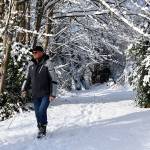 A snowy path in Federal Way. Photo by Shelley Pauls