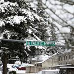 Photo by Shelley Pauls