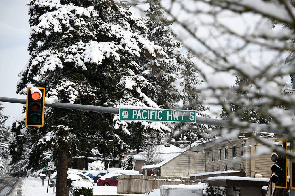 Photo by Shelley Pauls