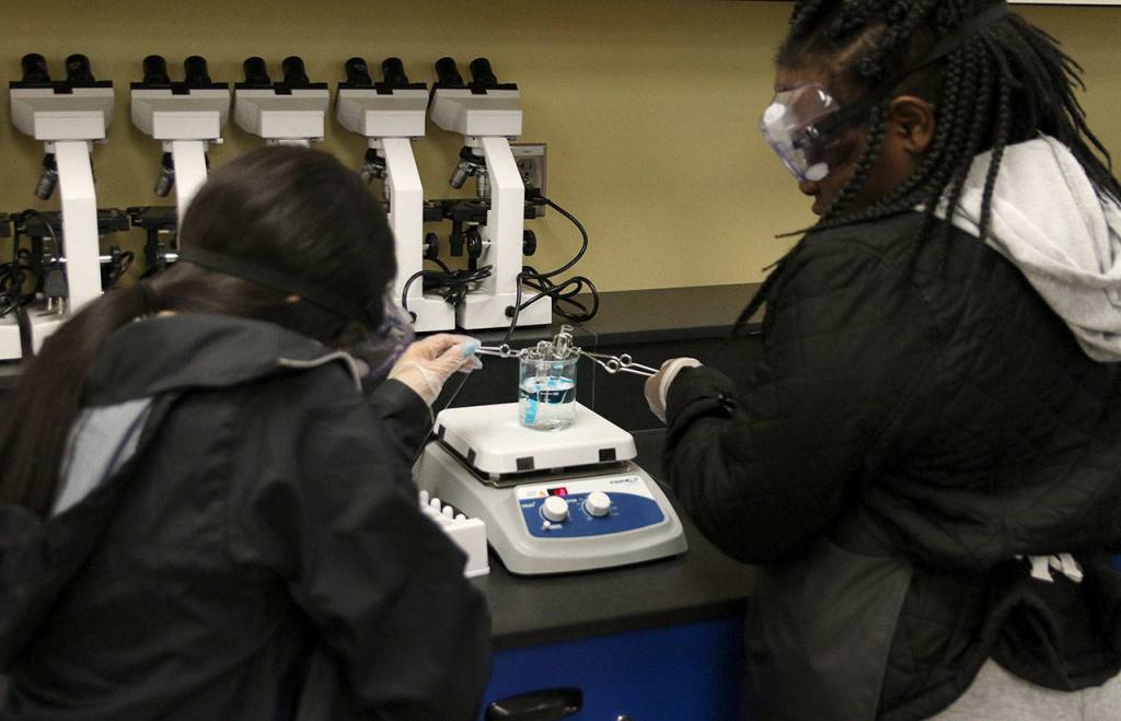 Students in the new biomedical program at Decatur High School use advanced lab equipment in class. Olivia Sullivan/staff photo