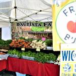 The Federal Way Farmers Market boasted plenty of fresh fruit and vegetable booths for people to shop at. Photo courtesy of Bruce Honda