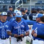 Quarterfinal loss brings baseball season to an end for Eagles