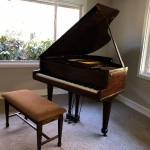 Music4Life brings instruments to school districts