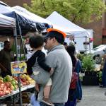 The Federal Way Farmers Market was bustling last weekend, even with the gray clouds overhead. Haley Donwerth/staff photo