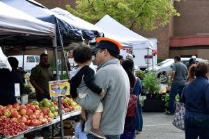 Federal Way Farmers Market bustles | Photos