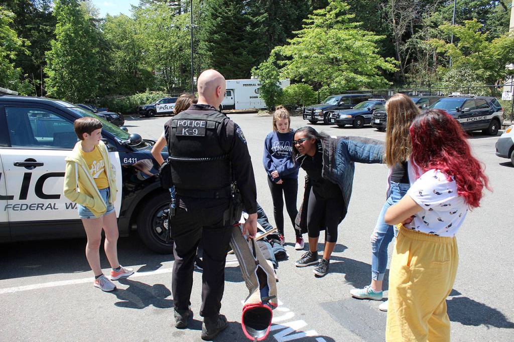 Melat W., 13, tries on protective gear used by the Federal Way police K9 unit. Olivia Sullivan/staff photo