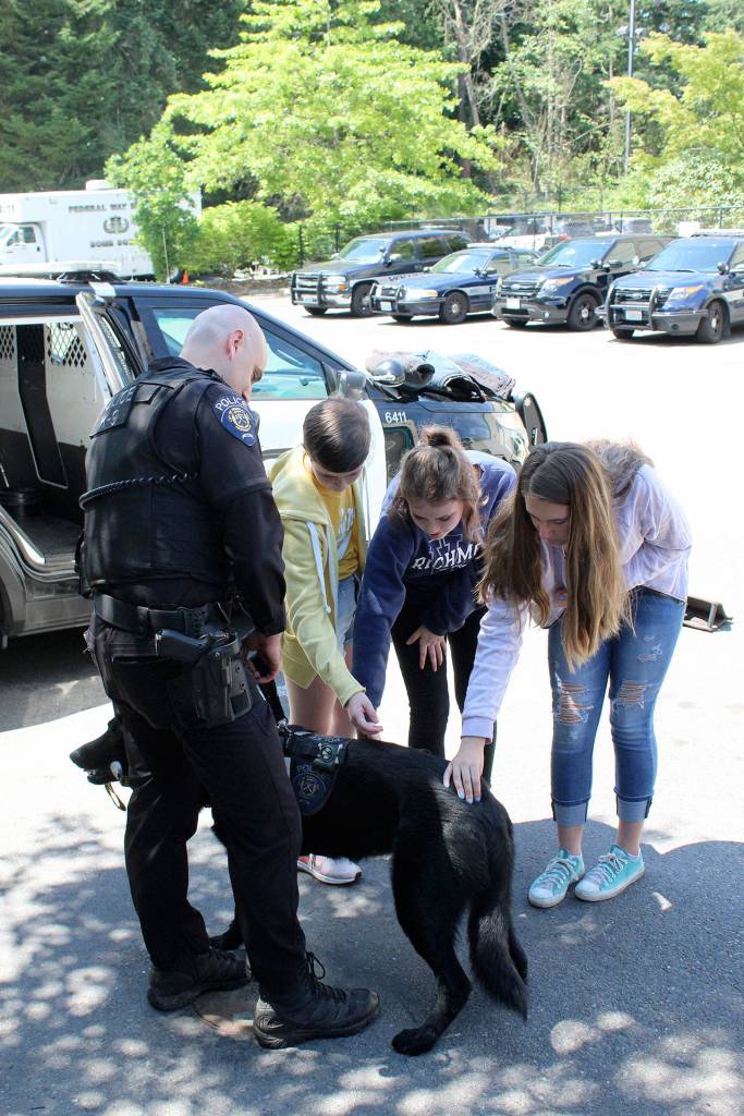 Officer Sederberg introduces Federal Ways K9, Vader, to the Teen Safety Academy. Olivia Sullivan/staff photo