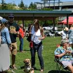 Rhythm and Brews was a great place for dogs to enjoy the warm weather too. Haley Donwerth/staff photo